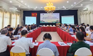 Bổ sung vi chất dinh dưỡng trong thực phẩm để cải thiện sức khỏe cộng đồng
