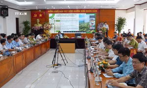 Công bố Quy hoạch lâm nghiệp quốc gia