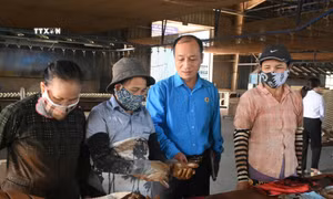 Cử tri Kon Tum kiến nghị hỗ trợ người lao động có cuộc sống tối thiểu khi mất việc làm