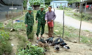 Đọc thông, nói thạo tiếng Mông - “Chìa khóa” gắn kết tình quân dân ở Na Ngọi