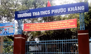 Ninh Thuận: Thanh tra toàn diện việc nhà trường giữ lại một phần tiền hỗ trợ học sinh vùng khó khăn
