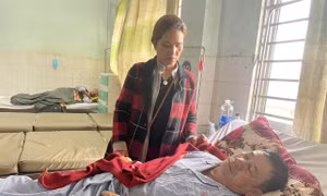 Vụ tai nạn tại Chư Pưh (Gia Lai): Các lái xe không vi phạm nồng độ cồn