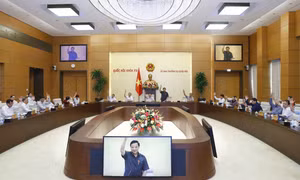 Ủy ban Thường vụ Quốc hội biểu quyết thông qua dự án Pháp lệnh. Ảnh: Doãn Tấn - TTXVN