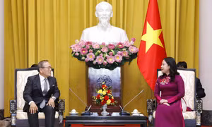 Phó Chủ tịch nước Võ Thị Ánh Xuân tiếp Chủ tịch Hãng Thông tấn Kyodo News (Nhật Bản) Toru Mizutani. Ảnh: An Đăng - TTXVN