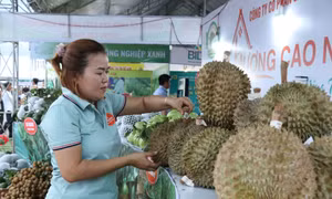 Gian hàng trưng bày sản phẩm sầu riêng huyện Krông Pắc tại Lễ hội Sầu riêng huyện Krông Pắc lần thứ nhất, năm 2022. Ảnh: Tuấn Anh – TTXVN