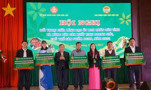 Hội Nông dân tỉnh Đắk Lắk trao quyết định triển khai 5 dự án vay vốn Quỹ Hỗ trợ nông dân. Ảnh: Hoài Thu – TTXVN