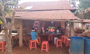 Tử vong vì bị chó dại cắn nhưng không tiêm ngừa