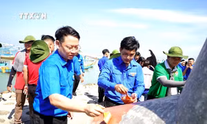 Thanh niên lấy chuyên môn phục vụ cộng đồng