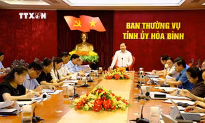 Bảo tồn, phát huy giá trị văn hóa dân tộc Mường và nền “Văn hóa Hòa Bình”