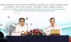 Bàn cách cải thiện “sức khoẻ” cho đất trồng trọt
