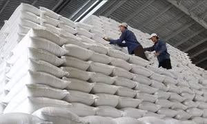 Xuất cấp gạo cho 3 địa phương dịp giáp hạt năm 2024