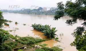 Thủ tướng chỉ đạo khắc phục hậu quả mưa lũ, chủ động ứng phó thiên tai tại miền núi, trung du Bắc Bộ