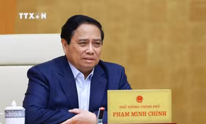 Thủ tướng Chính phủ phân công nhiệm vụ các Phó Thủ tướng
