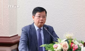 Ông Nguyễn Thanh Lâm được điều động, bổ nhiệm làm Tổng Giám đốc Đài Truyền hình Việt Nam