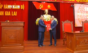 Điều động Bí thư Thường trực Trung ương Đoàn Nguyễn Ngọc Lương làm Phó Bí thư Tỉnh ủy Gia Lai