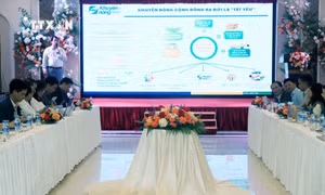 Có 57 tỉnh, thành phố thành lập được hơn 5.100 tổ khuyến nông cộng đồng