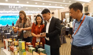 Nghiên cứu, phát triển các sản phẩm từ nấm có giá trị cao