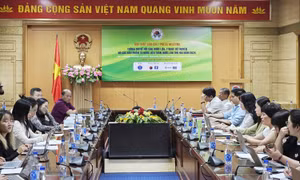 Cảnh báo tình trạng mạo danh, thổi phồng công dụng bài thuốc đông y