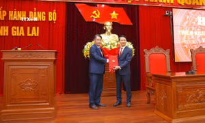 Điều động Bí thư Thường trực Trung ương Đoàn Nguyễn Ngọc Lương làm Phó Bí thư Tỉnh ủy Gia Lai