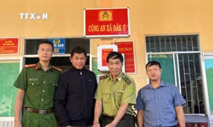 Bình Phước: Phát hiện cá thể tê tê trong vườn điều