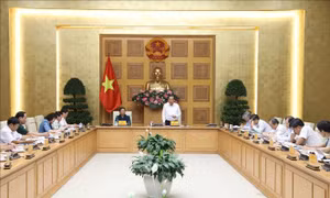Phó Thủ tướng Thường trực Chính phủ Trương Hòa Bình, Trưởng Ban Chỉ đạo phát biểu. Ảnh: Văn Điệp - TTXVN