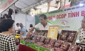 Sắp diễn ra Tuần lễ sản phẩm OCOP, sản phẩm đặc trưng các vùng - miền năm 2024