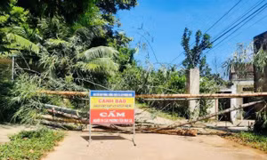 Thanh Hóa công bố tình huống khẩn cấp sạt lở, sụt lún đồi đất tại huyện Như Thanh