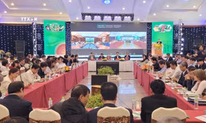 Xúc tiến thu hút đầu tư vào nông nghiệp, nông thôn vùng Tây Nguyên