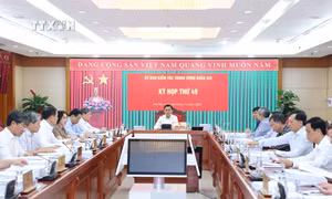 Kỳ họp thứ 49 Ủy ban Kiểm tra Trung ương: Đề nghị kỷ luật Ban Thường vụ Tỉnh ủy Đắk Lắk và Quảng Ninh