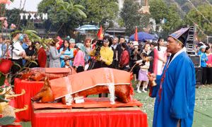 Đồng bào Giáy (Lào Cai) vui hội xuống đồng