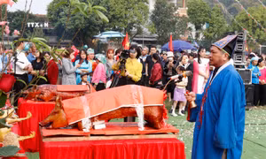 Đồng bào Giáy (Lào Cai) vui hội xuống đồng