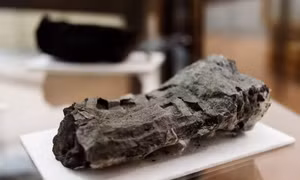 AI giải mã nội dung cuộn giấy cổ đại trong vụ phun trào núi lửa Vesuvius