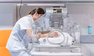 Cảnh báo các ca sinh non liên quan đến hóa chất nhựa