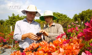 Chung sức xây dựng nông thôn mới theo hướng thông minh ở Tây Ninh