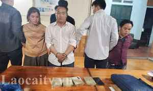 Lào Cai phá đường dây mua bán ma túy liên tỉnh