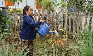 Người dân xã miền núi Hòa Bắc sống gần đập nước vẫn thiếu nước sinh hoạt 