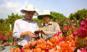 Chung sức xây dựng nông thôn mới theo hướng thông minh ở Tây Ninh
