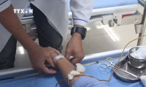 Tầm quan trọng của tầm soát bệnh tan máu bẩm sinh trước hôn nhân