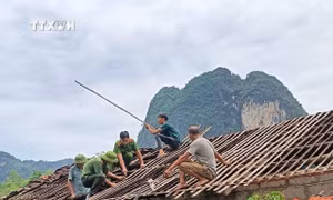 Miền núi phía Bắc mưa lớn, chủ động ứng phó lũ quét