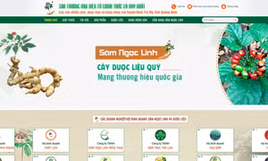 Phát triển kinh tế số tại huyện miền núi Nam Trà My