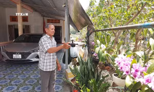 Đồng bào Khmer Bạc Liêu phấn khởi đón Tết cổ truyền Chôl Chnăm Thmây