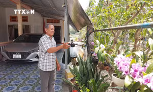 Đồng bào Khmer Bạc Liêu phấn khởi đón Tết cổ truyền Chôl Chnăm Thmây