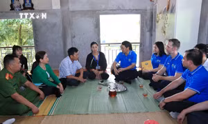 Ra quân điều tra, thu thập thông tin về thực trạng kinh tế - xã hội