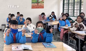 Một học sinh dùng tiền tiết kiệm mua 700 đôi tất tặng các bạn vùng biên giới Móng Cái