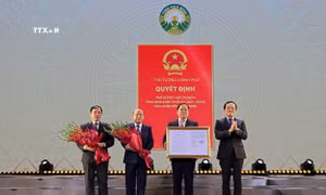 Phó Thủ tướng Trần Lưu Quang trao Quyết định Quy hoạch tỉnh Hòa Bình thời kỳ 2021-2030, tầm nhìn đến năm 2050 cho lãnh đạo tỉnh. Ảnh: Thanh Hải - TTXVN