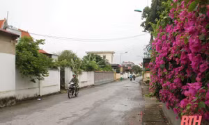 Lan tỏa phong trào xây dựng nông thôn mới ở Thanh Hóa