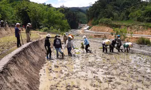 Cần giải quyết dứt điểm tình trạng "người Quảng Nam, đất Kon Tum"
