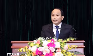 Phê chuẩn bổ nhiệm Thẩm phán Tòa án nhân dân tối cao