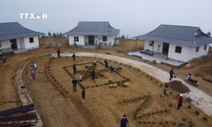 Rốt ráo tái thiết cuộc sống cho người dân thôn Làng Nủ