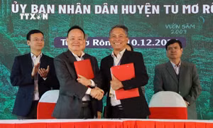 Nâng tầm vị thế sâm Ngọc Linh
